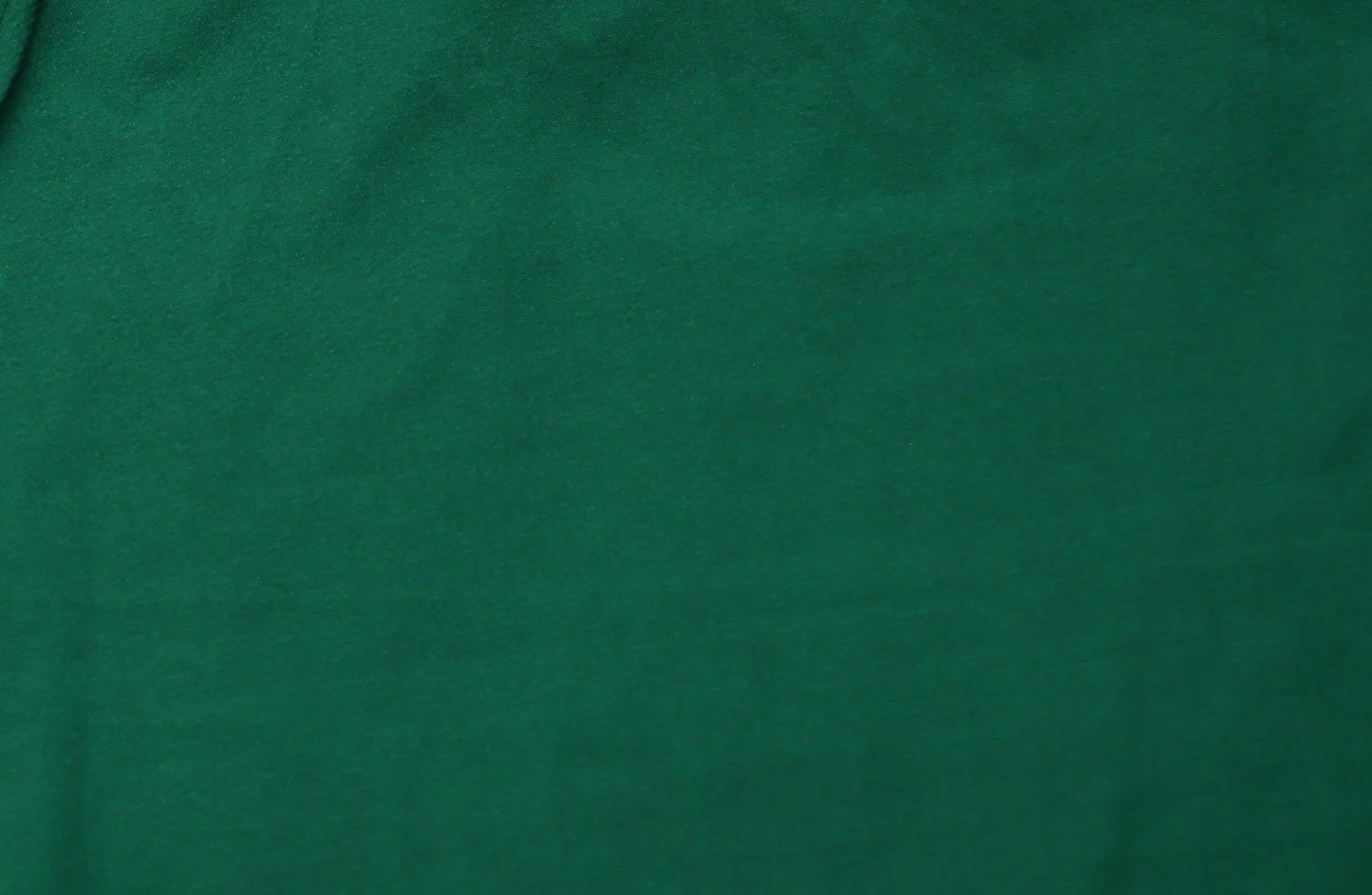Pista Green anchal georgette embroidered Saree