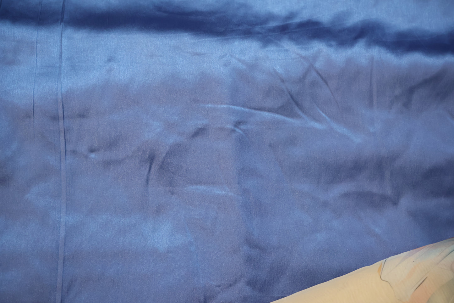 Light blue embroidered print organza Saree