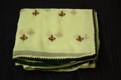 Pista Green anchal georgette embroidered Saree