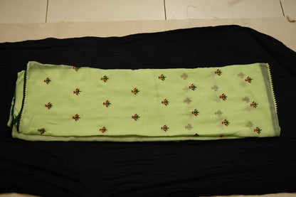 Pista Green anchal georgette embroidered Saree