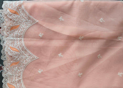 Pink Banarsi Tissue Saree